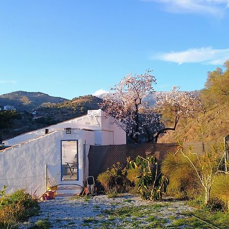 Finca El Almendro Árchez Exteriör bild