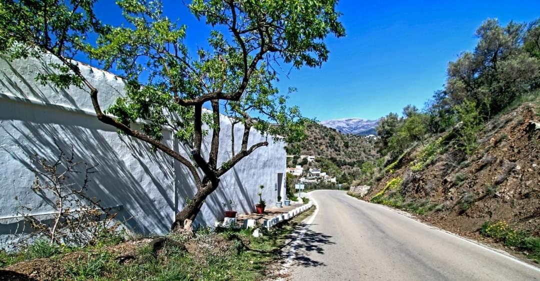 Finca El Almendro Árchez Exteriör bild