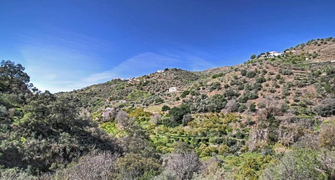 Finca El Almendro Árchez Exteriör bild